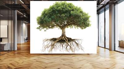 beautiful tree isolated on white Wall mural