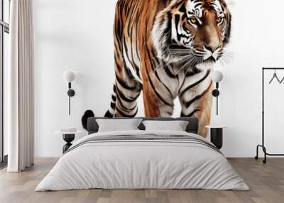 brown tiger Wall mural