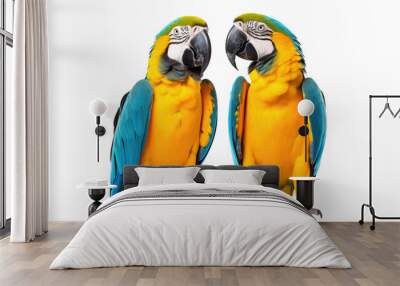 cute parrots looking isolated on white Wall mural