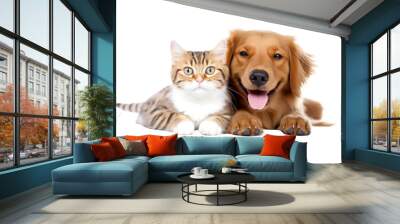 dog and cat happy isolated on white. Wall mural