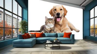 dog with cat friendly isolated on white Wall mural