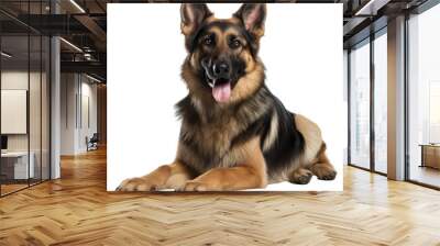 German Shepherd dog isolated on white Wall mural