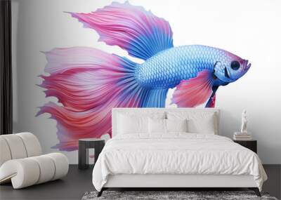 siamese fish swimming isolated on white Wall mural