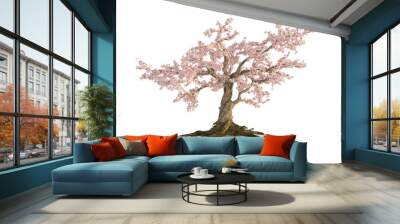 old cherry tree isolated on white Wall mural