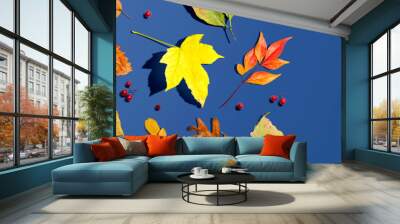 Colorful autumn leaves overhead view - flat lay Wall mural