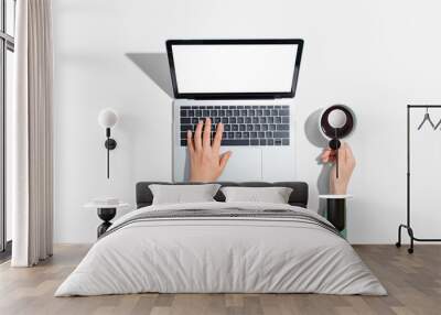 Person using a laptop computer from above Wall mural