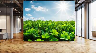 Shamrock field landscape on bright sunny morning Wall mural