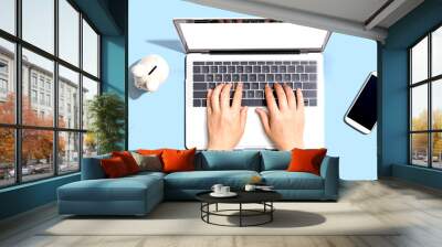 Woman using a laptop computer with a piggy bank and a calculator Wall mural