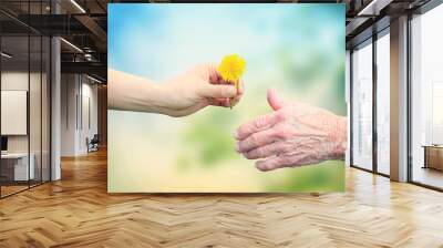 Young woman giving a dandelion to senior woman Wall mural