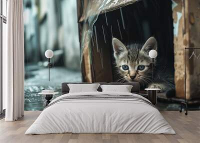  kitten takes shelter in a cardboard box on a rainy day. generated by ai Wall mural