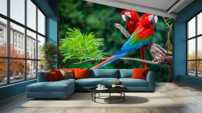 two scarlet macaws on a branch Wall mural