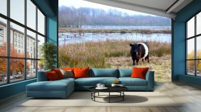 Atmosphere at the lake with a cow Wall mural