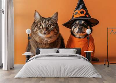 cat and dog, wearing costume for halloween. Wall mural