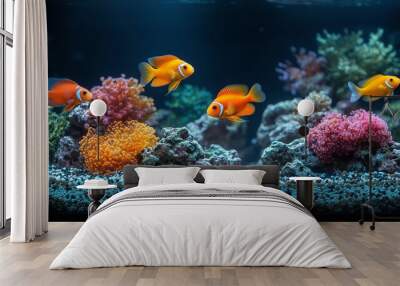 Aquarium with fish. Colorful Fish Swimming in a Coral Reef Aquarium. Bright orange fish swimming in a vibrant coral reef aquarium with colorful corals and clear water. Wall mural