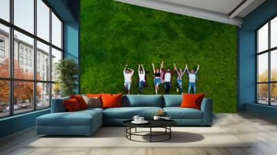 Group of young people laying on the grass in circle, happy, smiling Wall mural