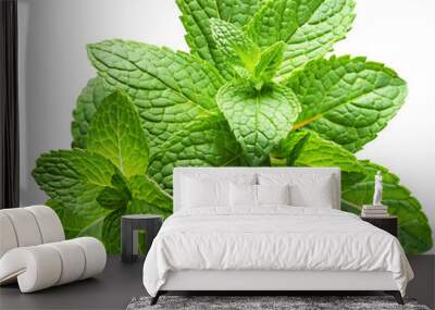 mint leaves isolated on white background Wall mural