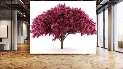 cherry tree isolated on white background with clipping path Wall mural