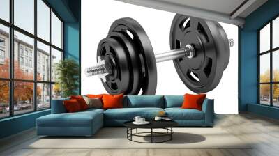 dumbbell isolated on white background Wall mural