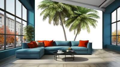 two coconut palm trees isolated on white background Wall mural