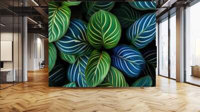 A close up of a bunch of green and blue leaves. Digital wallpaper background Wall mural