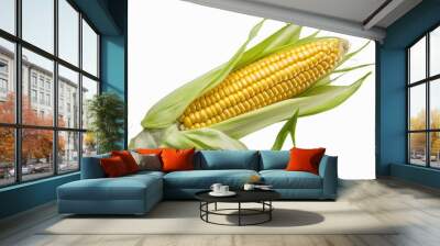 Fresh Yellow Corn on the Cob with Green Husks Isolated on White Background. Wall mural