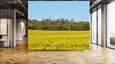 generator windmills behind a rape field in yellow bloom in a serene scenery Wall mural