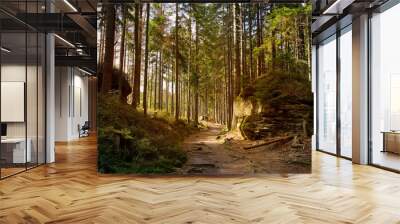 picturesque landscape with a path among rocks and boulders in a coniferous forest Wall mural