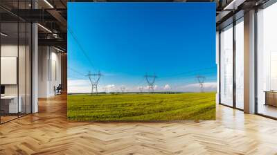 Power lines in a field near the Shelekhov town Wall mural