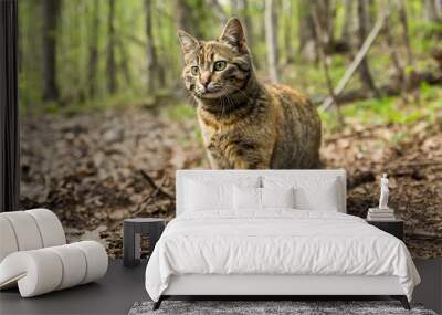 wild forest cat Wall mural