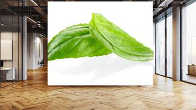 Basil leaves isolated on white background Wall mural