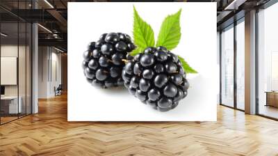 Blackberry with leaf isolated on white. Wall mural