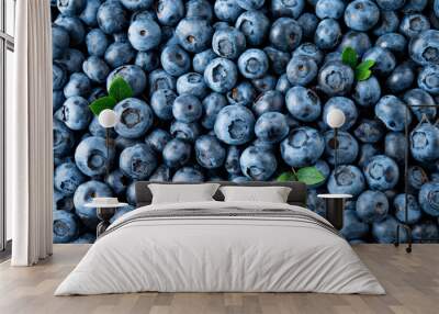 Blueberry. Fresh organic berries macro. Fruit background Wall mural