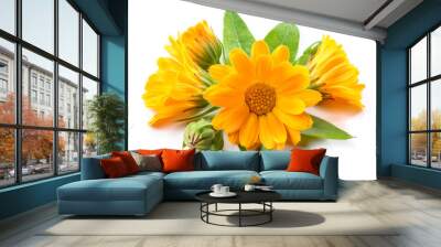 Calendula flower. Bouquet isolated on white background Wall mural