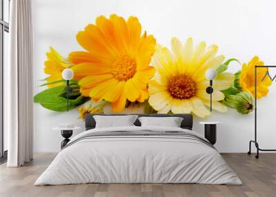 calendula. flowers with leaves isolated on white Wall mural