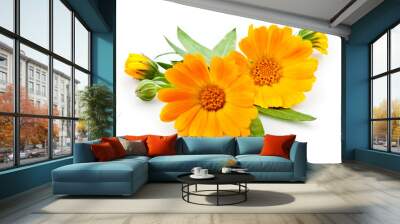 calendula. flowers with leaves isolated on white Wall mural