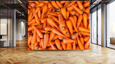 Carrot background. Macro. Organic food. Wall mural