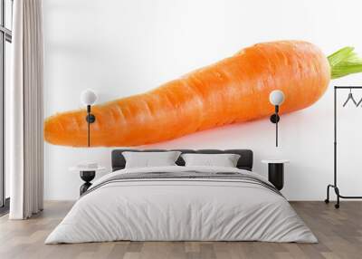 Carrot isolated on white background Wall mural