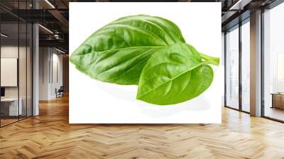 Fresh organic basil leaves isolated on white background Wall mural