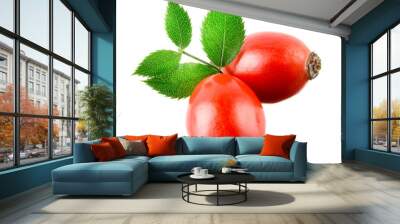 rose hip isolated on a white background. Wall mural