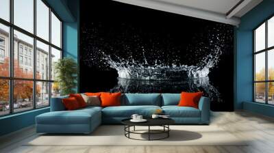 Water splash isolated on black background. Water crown splash. On black background. Side view. Wall mural