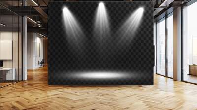 Set of Spotlight isolated on transparent background. Vector glowing light effect with gold rays and beams Wall mural