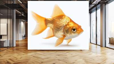 Goldfish isolated on white background Wall mural