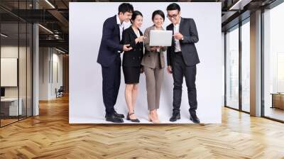 Group of Asian business people posing on a white background Wall mural