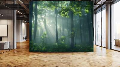 Soft, dreamy forest with drifting mist and light rays, creating a sense of timelessness and the gentle drift of moments. Wall mural