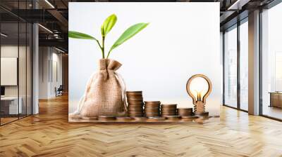 Coins in sack, Light bulb and small plant tree. Pension fund, 401K, Passive income. savings and making money. Investment and retirement. Business investment growth concept. Risk management. Wall mural