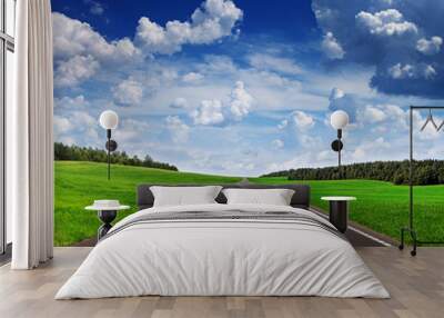 Asphalt road in green fields under beautiful sky Wall mural