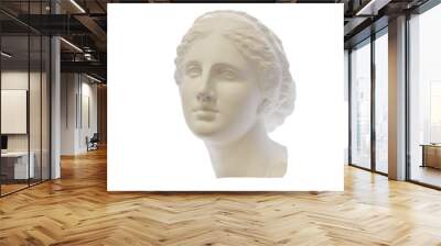 Gypsum head of ancient Greek young woman isolated on white background. For learning drawing. Wall mural