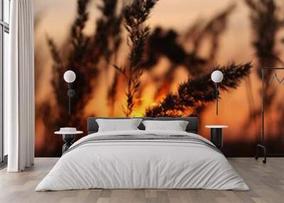 silhouette of grass at sunset Wall mural