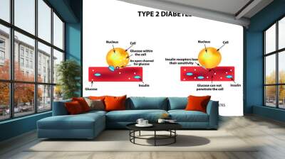 The absorption of glucose by the cell. Type 2 diabetes. Increase and decrease blood sugar. Insulin. Infographics. Vector illustration on isolated background Wall mural