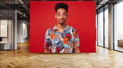 Young African American man wears in Hawaiian shirt, looks at the camera and calm smiling, stands over red background. Wall mural